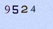 Visual Confirmation Security Code