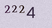 Visual Confirmation Security Code