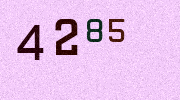 Visual Confirmation Security Code