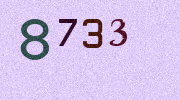 Visual Confirmation Security Code
