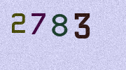 Visual Confirmation Security Code