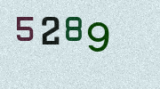 Visual Confirmation Security Code