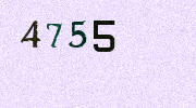 Visual Confirmation Security Code