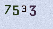 Visual Confirmation Security Code