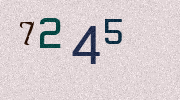 Visual Confirmation Security Code