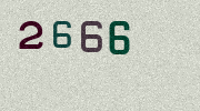 Visual Confirmation Security Code