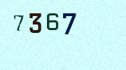 Visual Confirmation Security Code