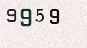 Visual Confirmation Security Code