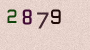 Visual Confirmation Security Code