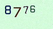 Visual Confirmation Security Code