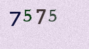 Visual Confirmation Security Code