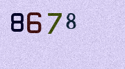 Visual Confirmation Security Code