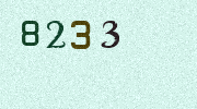 Visual Confirmation Security Code