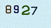 Visual Confirmation Security Code