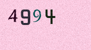 Visual Confirmation Security Code