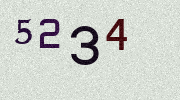 Visual Confirmation Security Code