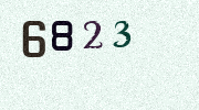 Visual Confirmation Security Code