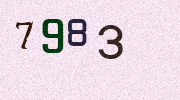 Visual Confirmation Security Code