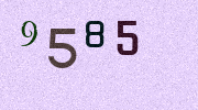 Visual Confirmation Security Code