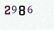 Visual Confirmation Security Code