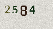 Visual Confirmation Security Code