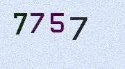 Visual Confirmation Security Code