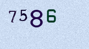 Visual Confirmation Security Code