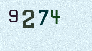 Visual Confirmation Security Code