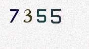 Visual Confirmation Security Code