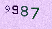 Visual Confirmation Security Code