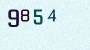 Visual Confirmation Security Code