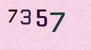 Visual Confirmation Security Code