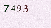 Visual Confirmation Security Code