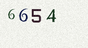 Visual Confirmation Security Code