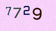 Visual Confirmation Security Code