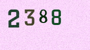Visual Confirmation Security Code
