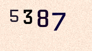 Visual Confirmation Security Code