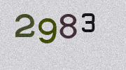 Visual Confirmation Security Code
