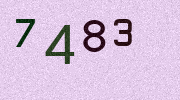 Visual Confirmation Security Code