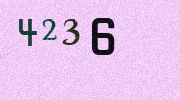 Visual Confirmation Security Code