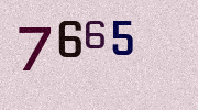 Visual Confirmation Security Code