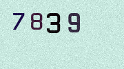Visual Confirmation Security Code