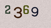 Visual Confirmation Security Code