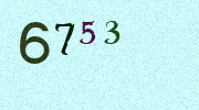 Visual Confirmation Security Code