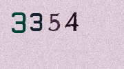 Visual Confirmation Security Code