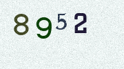 Visual Confirmation Security Code