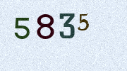 Visual Confirmation Security Code