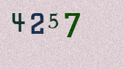 Visual Confirmation Security Code