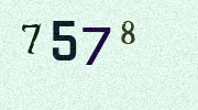 Visual Confirmation Security Code
