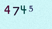 Visual Confirmation Security Code